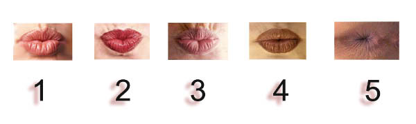 Chercher l'intru-humourenvrac